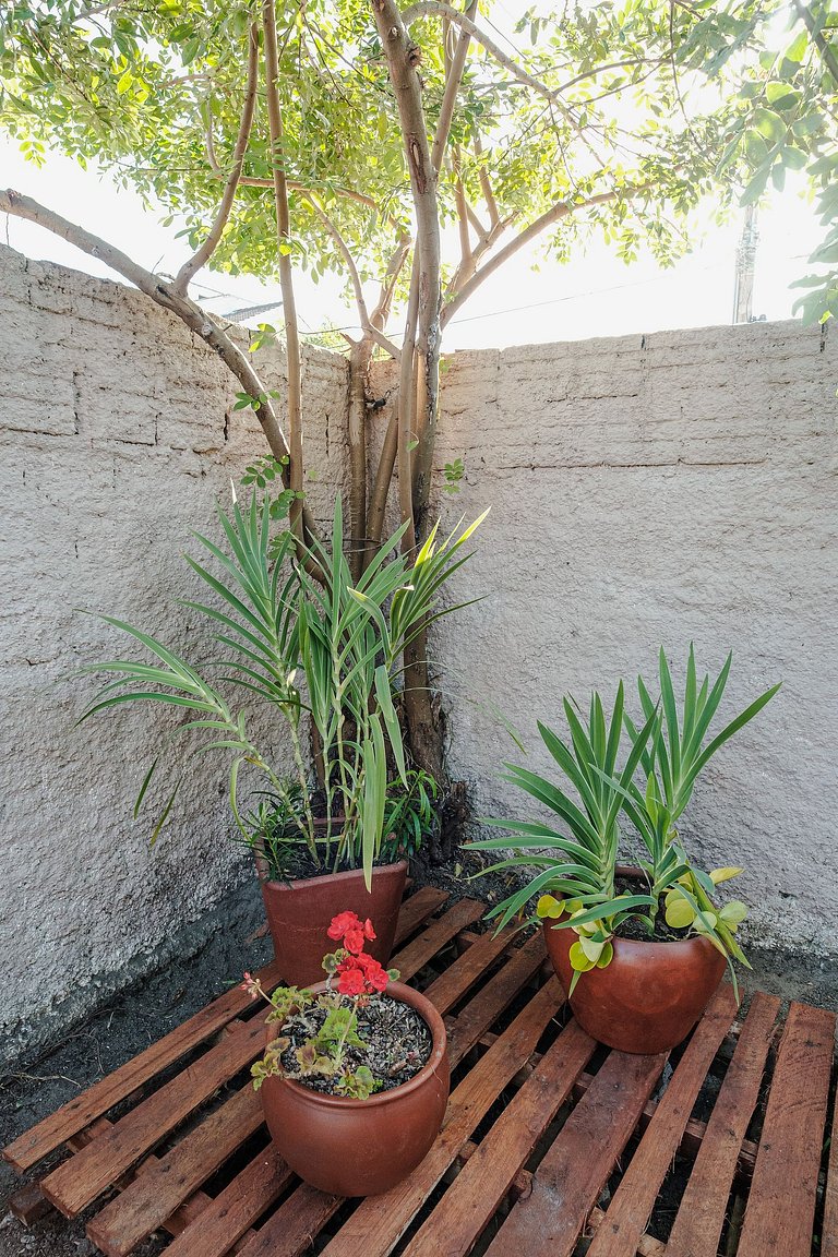 Experiência única em Jurerê