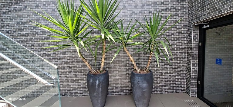 Piscina com vista incrível/ Churrasqueira/ Garagem